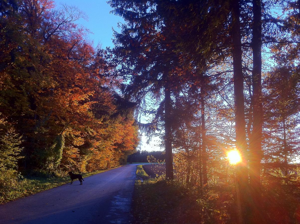 Gasthof Teufl Purgstall an der Erlauf المظهر الخارجي الصورة