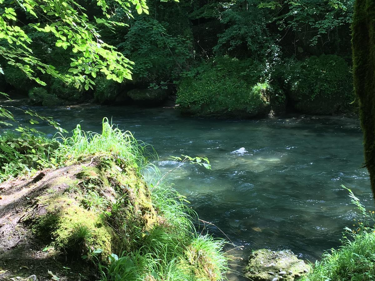 Gasthof Teufl Purgstall an der Erlauf المظهر الخارجي الصورة